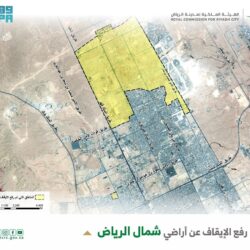 العُلا تستضيف كأسي اللجنة الأولمبية والبارالمبية السعودية والشباب والناشئين للقدرة والتحمل