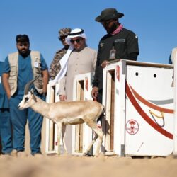 الدراسة المتقدمة للشارة الخشبية تواصل فعالياتها بمحافظة الأحساء