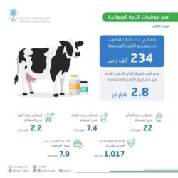 جمعية الكشافة تُشارك في “إدارة الحشود” بالمعرض السعودي للطيران