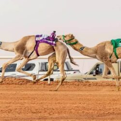 مؤشر سوق الأسهم السعودية يغلق مرتفعًا عند مستوى 11892 نقطة