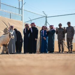 ” مهرجان فنون العُلا 2025″ يعلن عن مجموعة موسمية من المعارض التي تضم نخبة من الفنانين السعوديين والعالميين