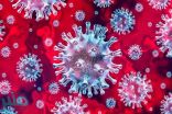 الإمارات تسجل 27 إصابة جديدة بفيروس كورونا