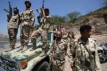 الجيش اليمني يأسر قيادي حوثي و 7 خبراء من حزب الله اللبناني الإرهابي في صعدة