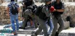 قوات الاحتلال تعتقل ثلاثة فلسطينيين من محافظة الخليل