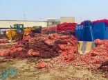 “أمانة جدة” تحبط بيع 200 طن من البصل الفاسد