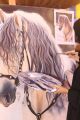 الأميرة مشاعل تفتتح معرض “عراقة الماضي وإشراقه الحاضر ” بجدة
