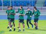 المنتخب السعودي يواجه جامايكا اليوم بتشكيلة “شابة”