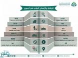 أمانة المدينة المنورة تنفذ أكثر من ألفي جولة رقابية